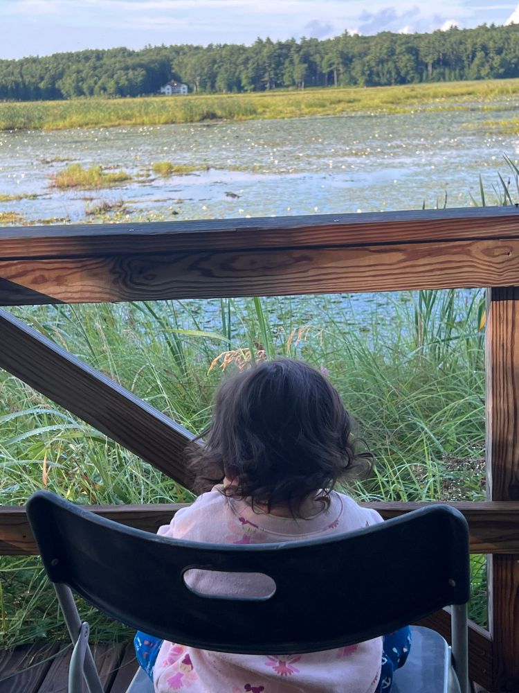 My daughter, Frida, and a wildlife viewing platform