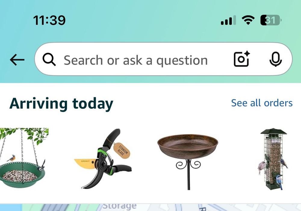 My bird feeding area supplies. I’ll be using city property across from my apartment. There are two other food stations so it’s assumed to be okay 🤷🏻‍♀️
