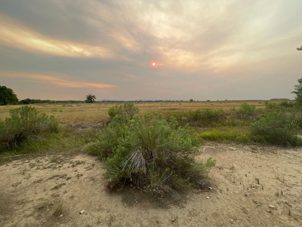 a image of the horizon from arapaho forest in timnath, CO

wildfire smoke haze has the setting sun appearing a bright orange