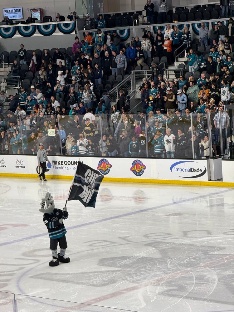 Frenzy the barracuda on the ice with a flag that I think said “Cuda Win!”