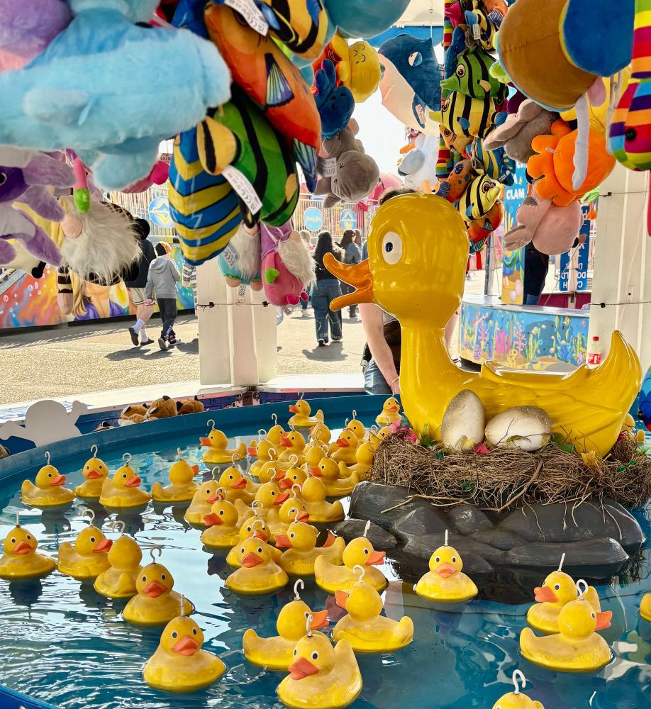 Lots of rubber ducks floating in water.Big duck sitting in a nest with 2 eggs.Hanging above are lots of soft toys. A few people walking past in the background. 