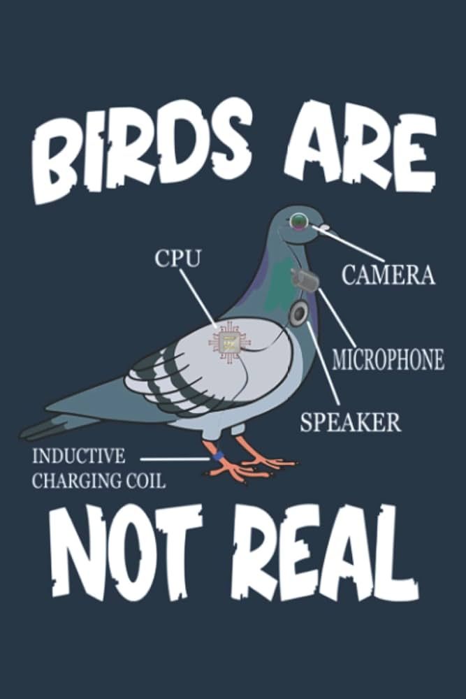 Comment image