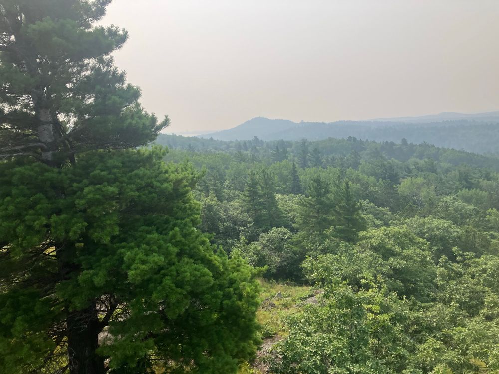 A smoke filled landscape picture with peaks in the distance. The ground is forested 