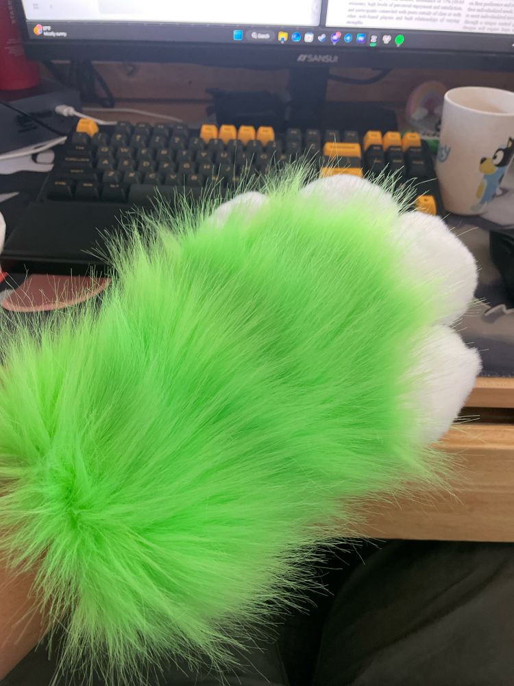 A picture of the front of the paw.