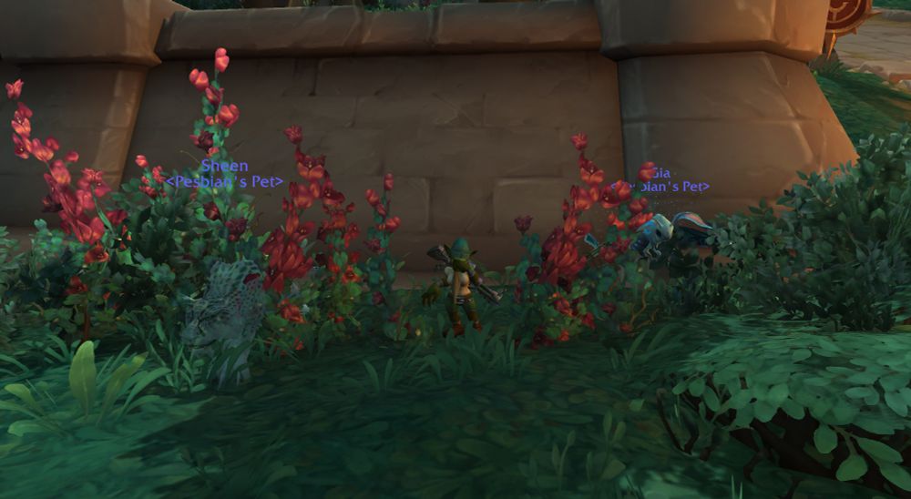 Pesbian, the engineer beast mastery hunter goblin dyke, crying over this news by some flowers in Mereldar with her beloved pets Sheen the Ghost Saber and Gia the Ardenweald Moth on either side of her