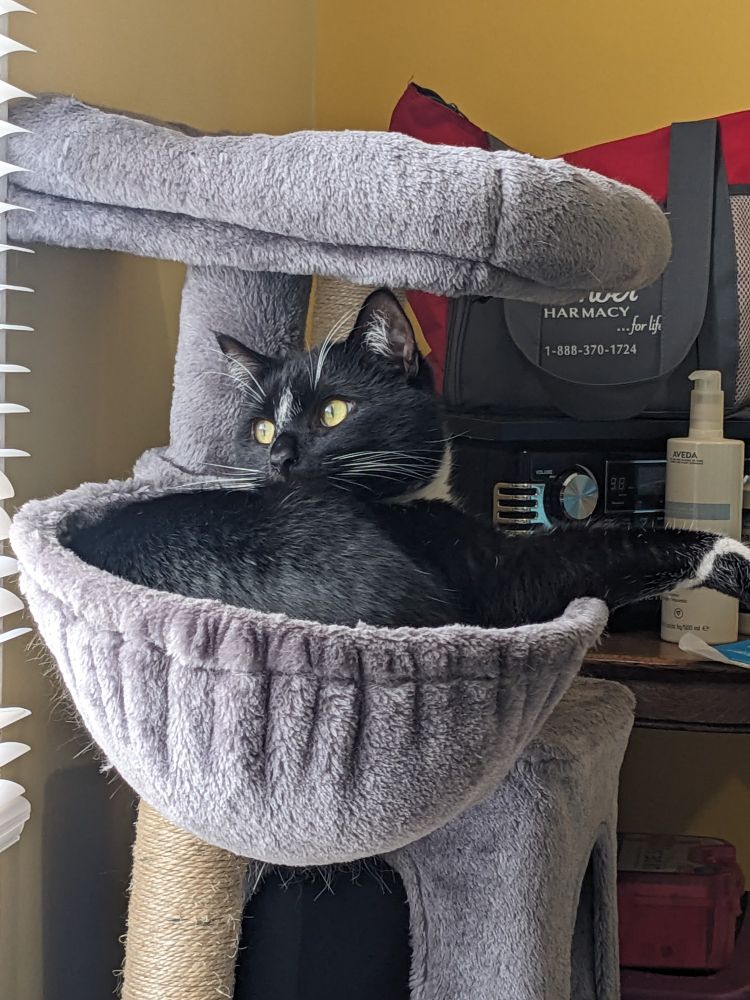 He is now looking to the right 