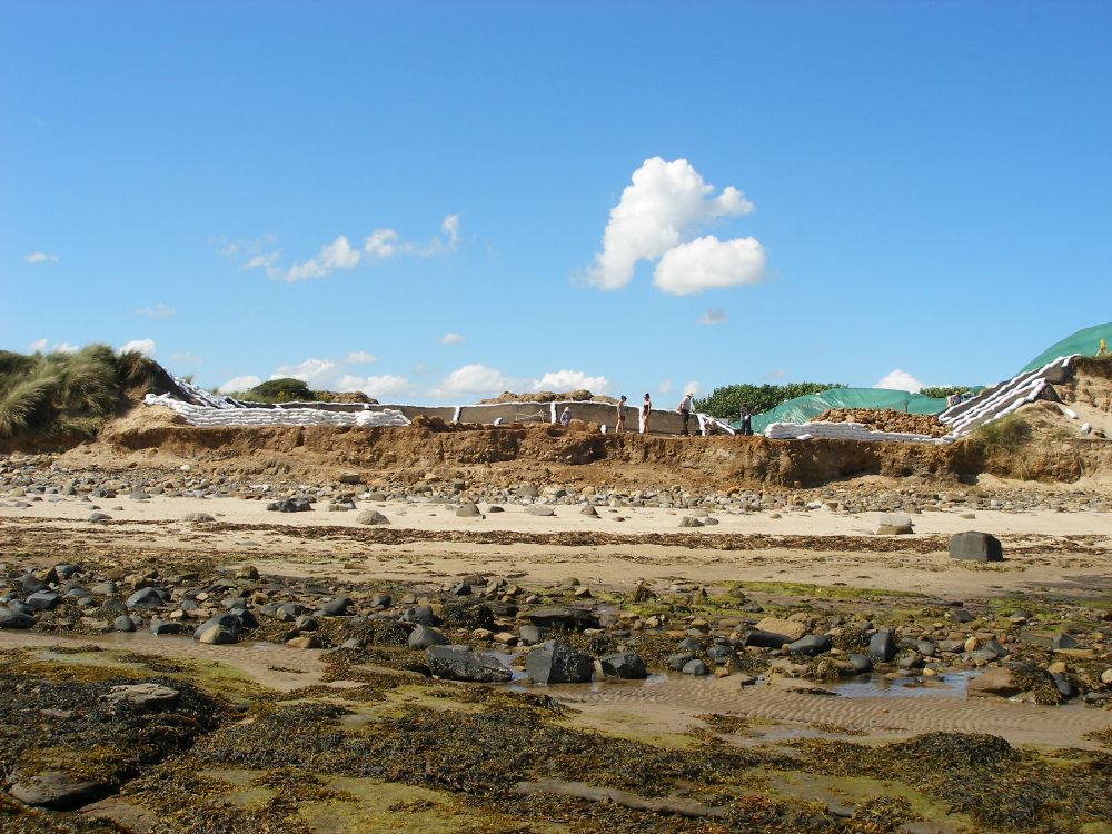 Fair way into excavations, showing section across the sand dunes from the beach. The Bronze Age burials (and mound) were at the centre edge.