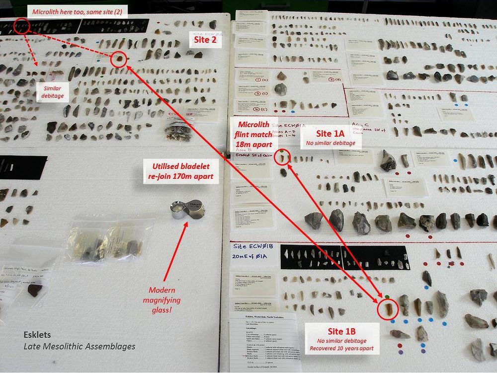 Laying out all recovered artefacts, flints, you spot connections between 'sites' or activity areas. Adding in radiocarbon dates, >20 so far, is fascinating. Mesolithic handshakes Neolithic.
