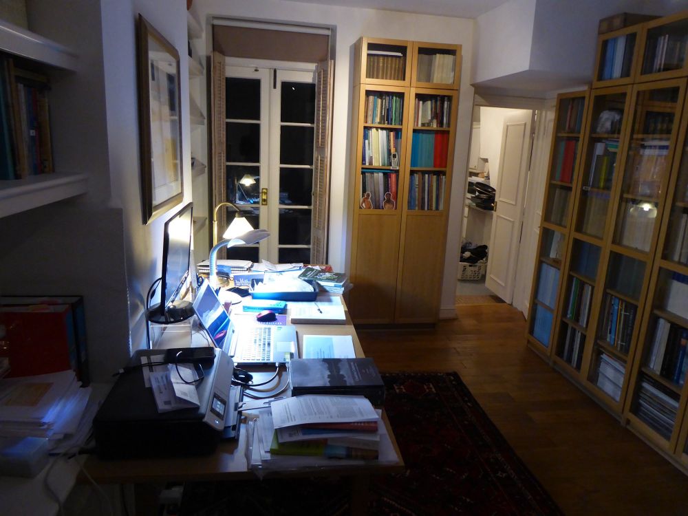 Sitting room south side, full of books, before light bulb replacement.