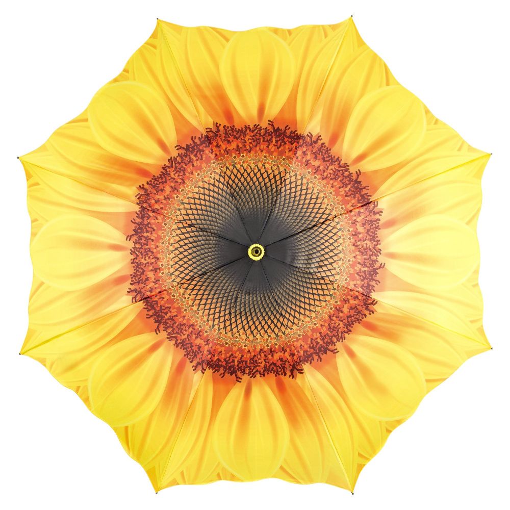 Ein Regenschirm mit Sonnenblumendekor