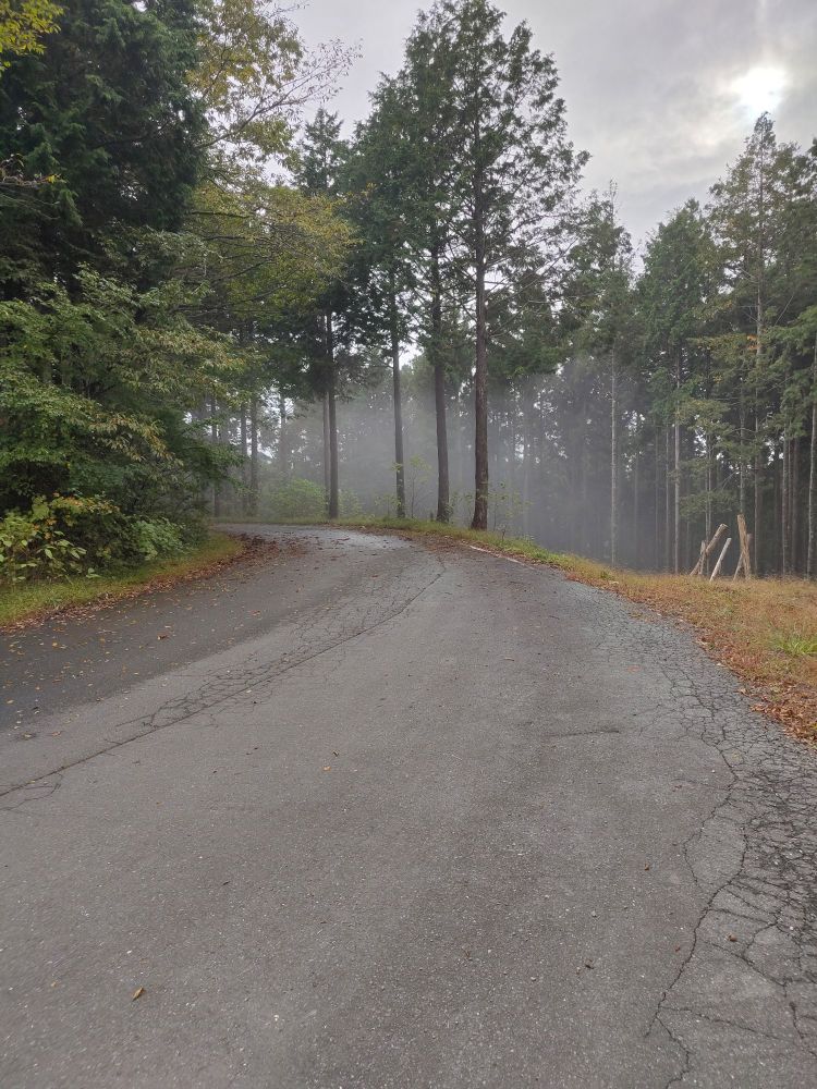 ボイスカウントはじめそうなカーブ