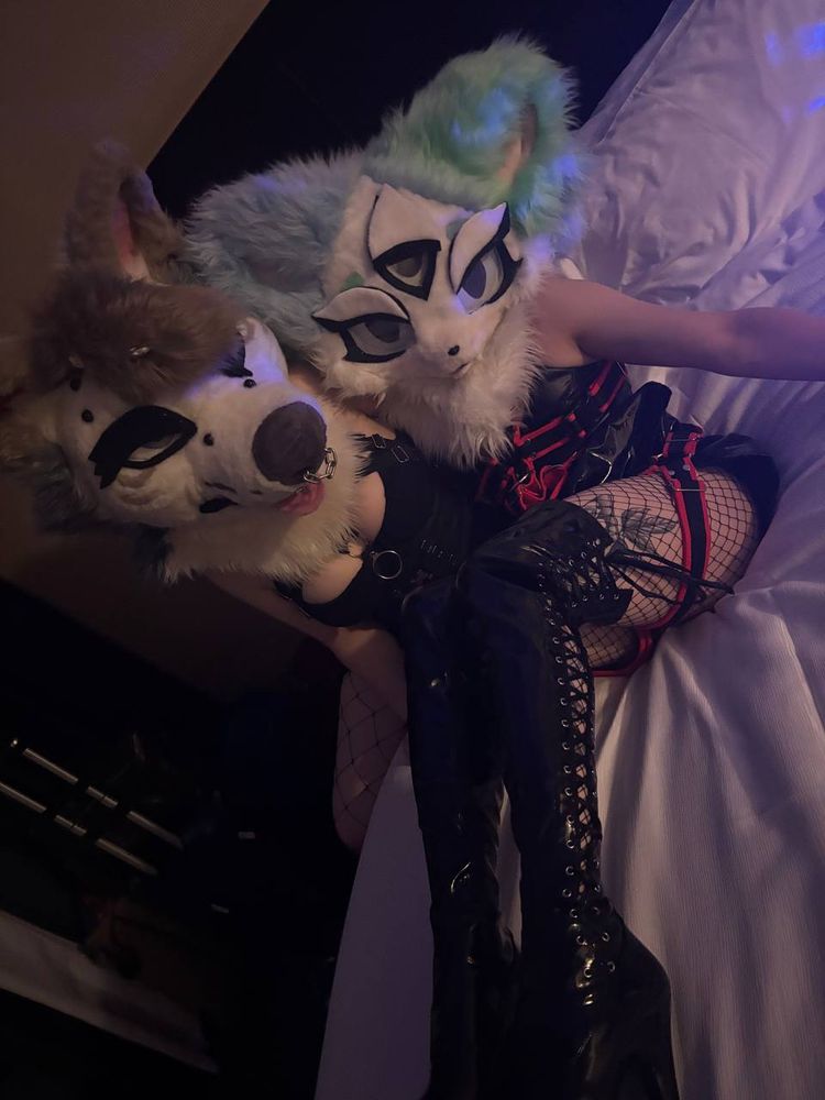 Two super hot furry girls and being super gay laying on a bed together 