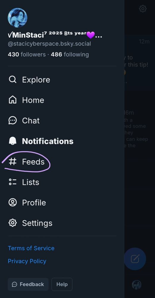 6. Screenshot showing the options to customize Bluesky, with the #Feeds option circled.