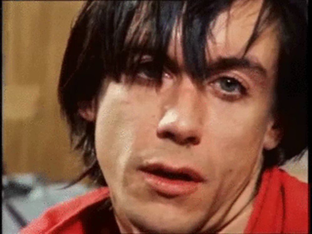 Iggypop Punk GIF