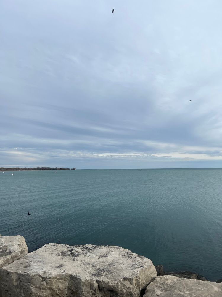 Lake Ontario overlooking the island 