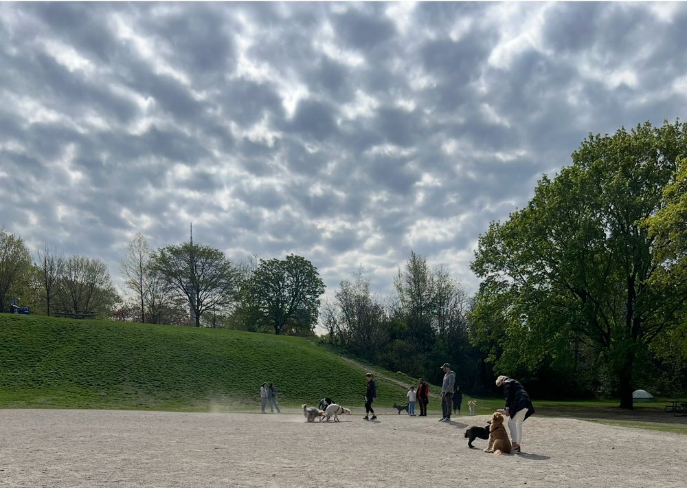 Woman with retriever with epic clouds above them