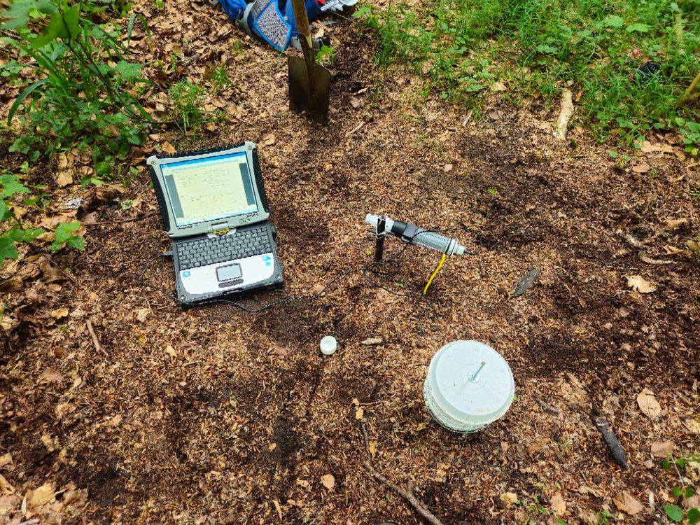 Climate sensores close to open floor forest ground. The sensor is read out with a laptop. Radiation shiled sits next to it. 