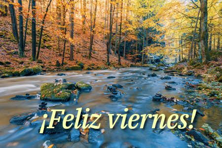 Imagen de un río congelado en el monte, entre árboles con el follaje de otoño. Sobreimpreso, un texto que dice: "¡Feliz viernes!"