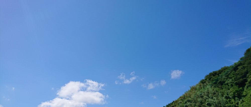 まだまだ夏