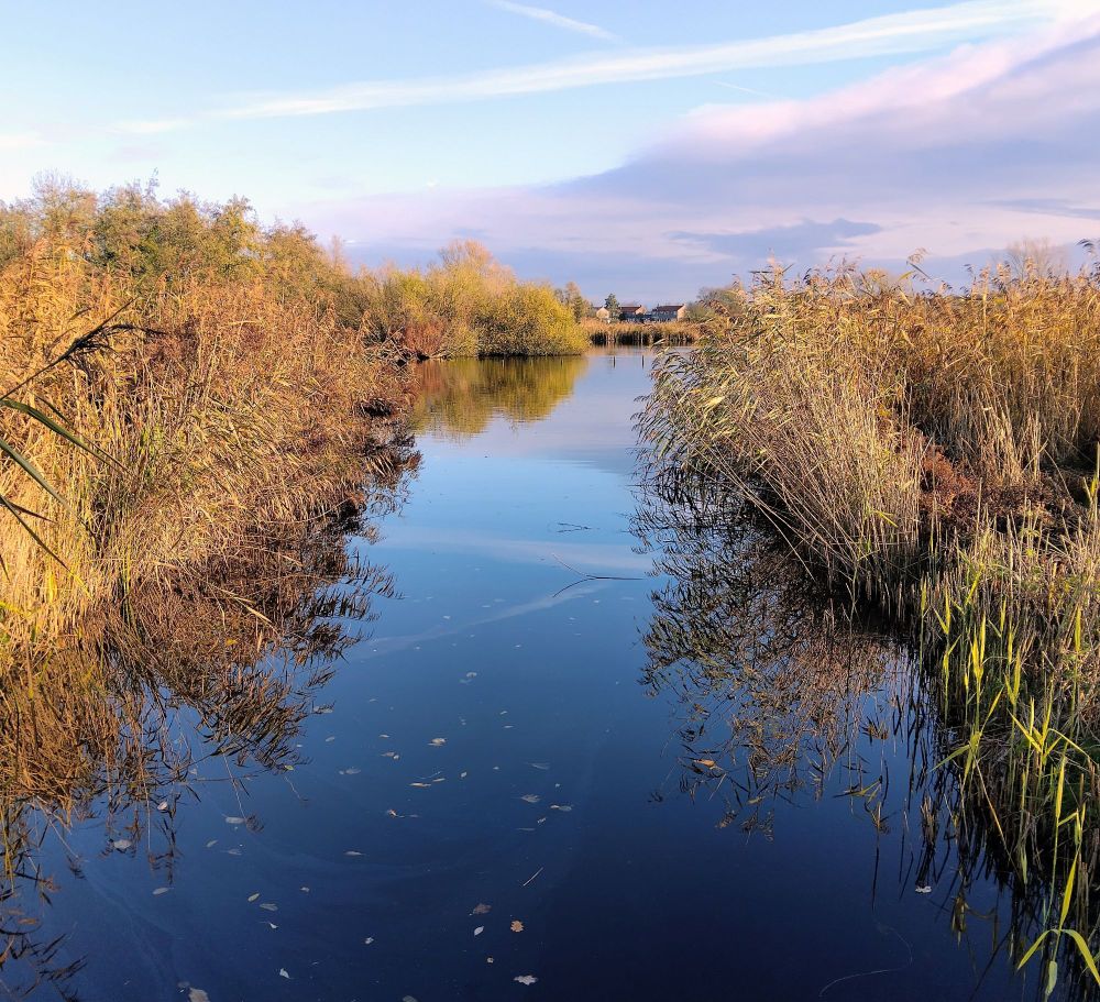 A pool of water with an outlet, reeds, reflections, blue sky and a cloud like a mountain