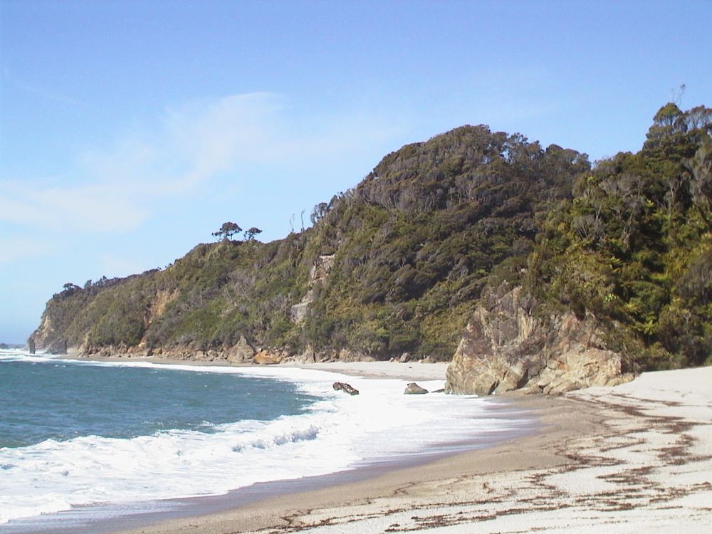 A picture taken on the South Island of New Zealand.  A sandy beach is shown in the foreground with small waves crashing in from a bay.  A tree covered hill can be seen behind the beach jetting out into the bay.