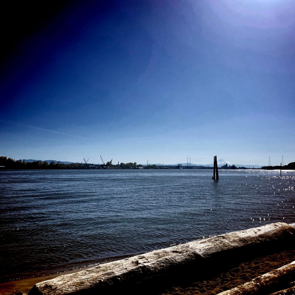 the upper half of the photo is blue sky, and the bottom half is water in gentle waves, with a large log along the riverbank