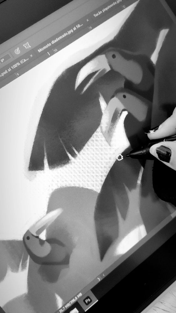 Imagen en blanco y negro que muestra una parte de una ilustración digital donde aparecen unos tucanes en unas palmeras