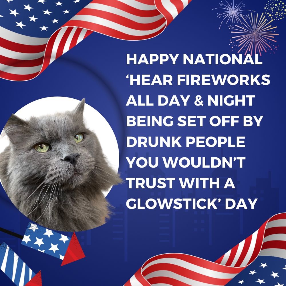 Infographic of grey Nebelung cat looking disdainfully at the camera & surrounded by red, white & blue stars & stripes There’s a quote: HAPPY NATIONAL ‘HEAR FIREWORKS ALL DAY & NIGHT BEING SET OFF BY DRUNK PEOPLE YOU WOUDN’T TRUST WITH A GLOWSTICK’ DAY.