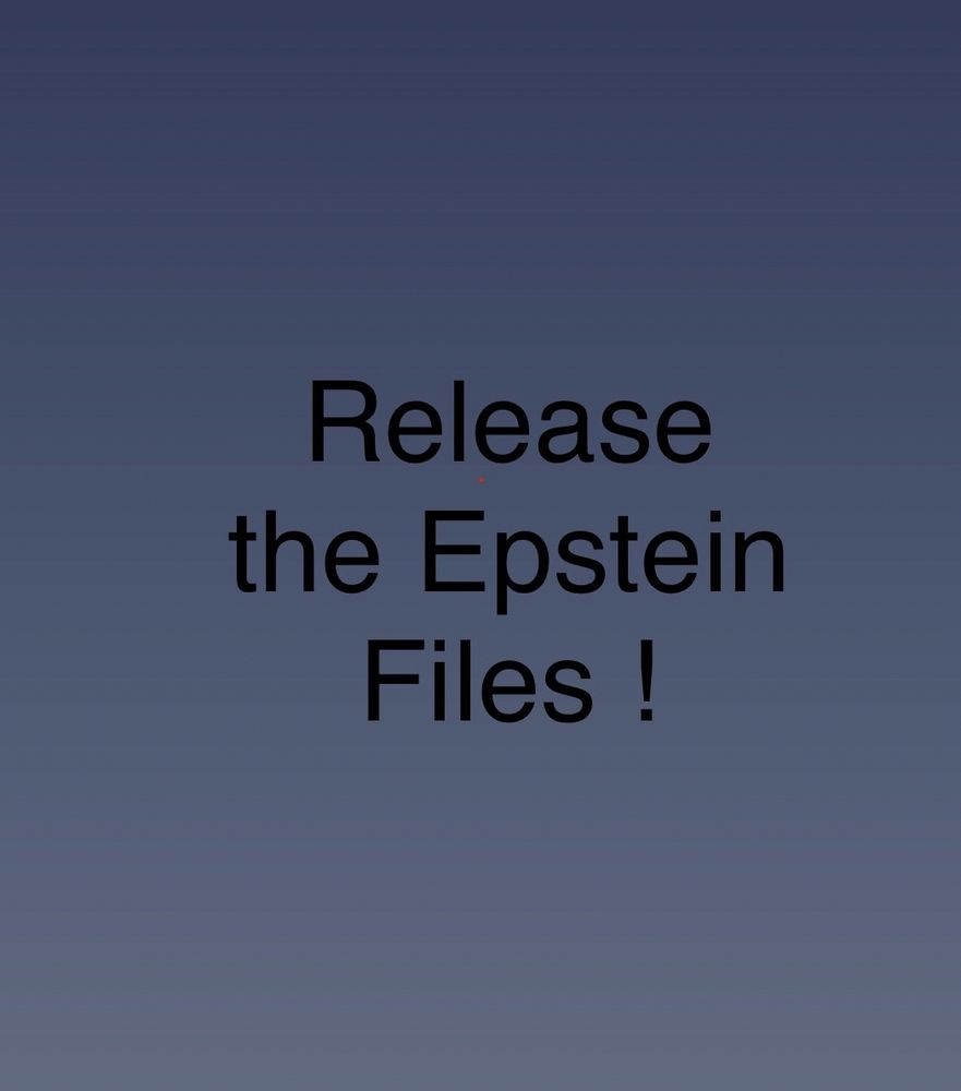 Dark grey rectangle with the words in black:
                             Release
                          the Epstein
                                Files ! 