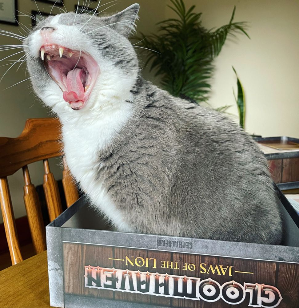 A gray tuxedo cat yawns while sitting in the box top for Gloomhaven Jaws of the Lion board game 