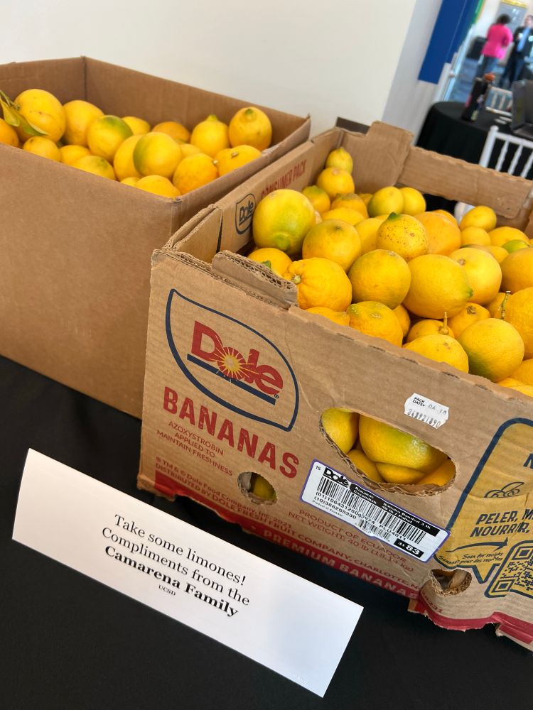 Two brimming crates of lemons, with a sign reading “take some limones! Compliments from the Camarena Family (UCSD)”