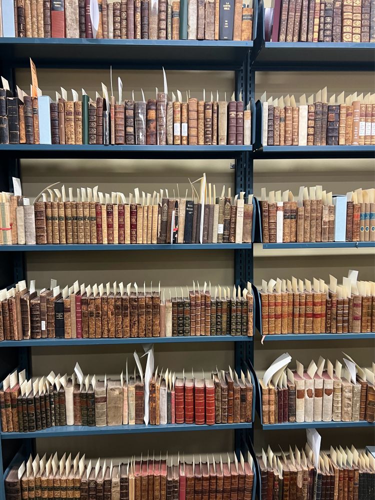Shelfie of miniature book collection