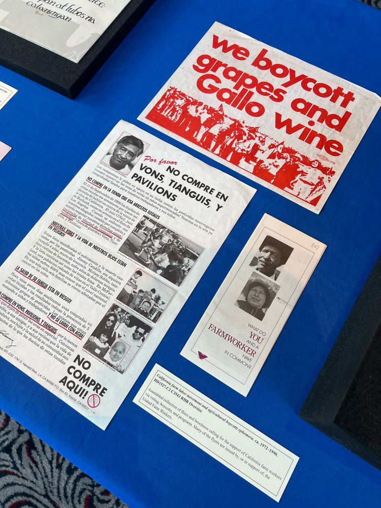 Selection of signs and brochures produced by, and in support of, the UFW.