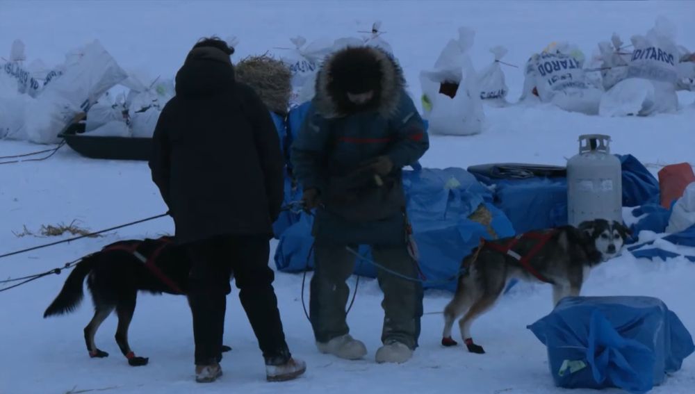 A musher, Quince Mountain, in a jacket and snow pants is at the Eagle Island checkpoint looking at the front two dogs hooked up to his sled.  A black and gray and white lead dog with a white stripe down her forehead, Pepé, is looking at the camera. She looks ready to run another 500 miles in the Iditarod. 