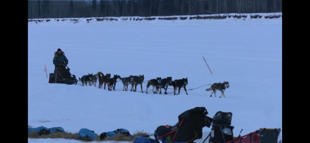 A sled with a musher and several dogs pulling it arrive at the snowy Eagle Island checkpoint. 