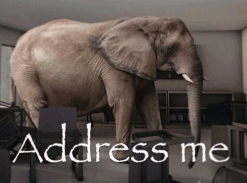 Photo of an elephant walking into a room with text that reads "Address me."