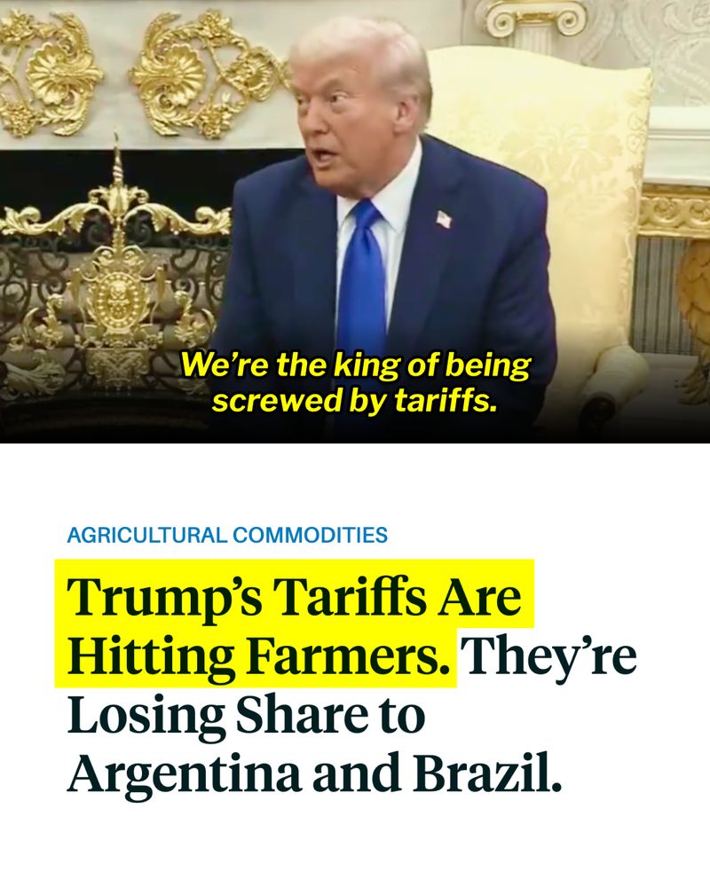 A split screen graphic. The first panel is an image of Donald Trump seated with him saying, "We're the king of being screwed by tariffs."

Second panel with a screenshot of a headline: Trump's tariffs are hitting farmers. They're losing share to Argentina and Brazil. 