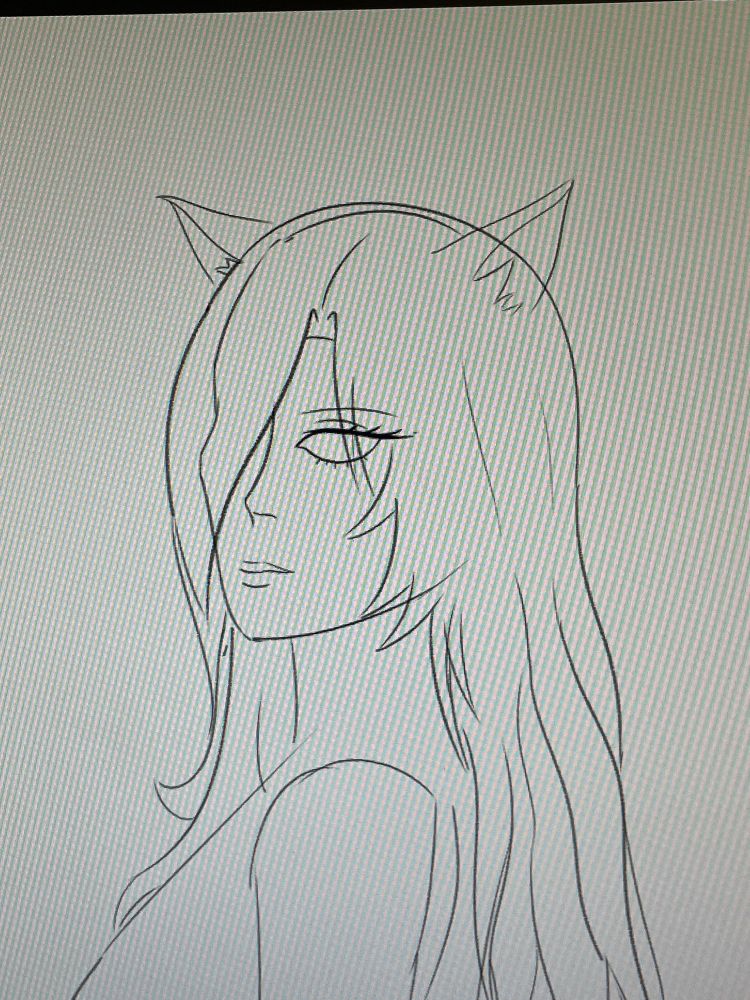 Very early stages of a character with long hair and animal ears. Who could it be? We shall soon find out 