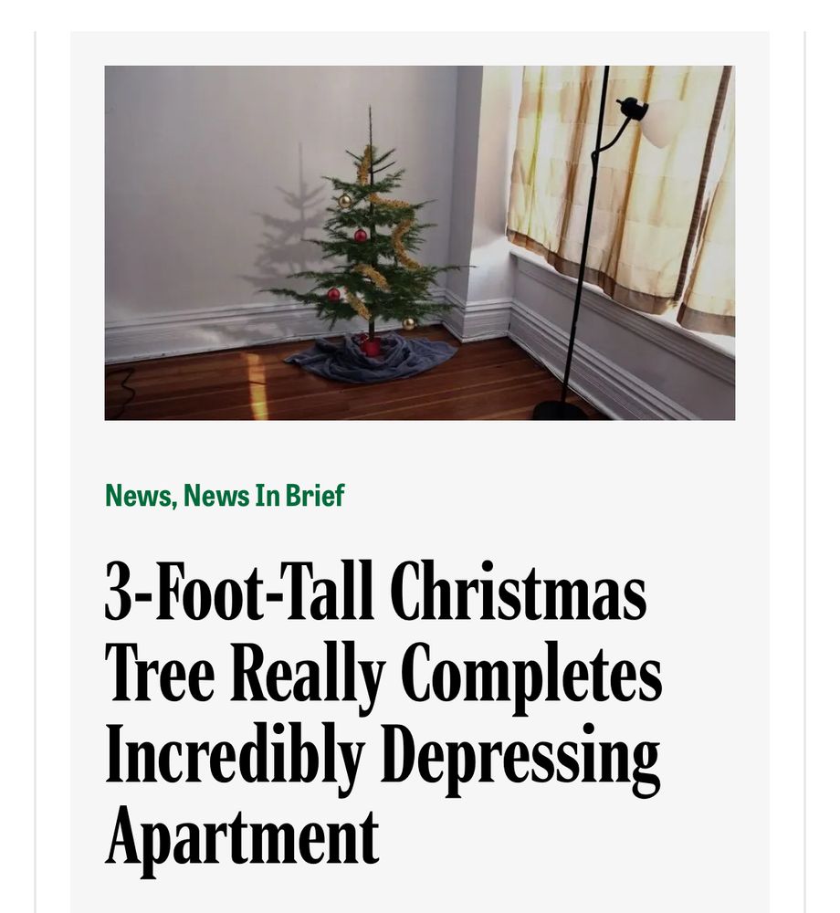 3-Foot-Tall Christmas Tree Really Completes Incredibly Depressing Apartment