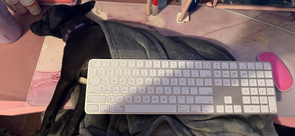 A small black dog sleeps on a desk with a keyboard on top of her.