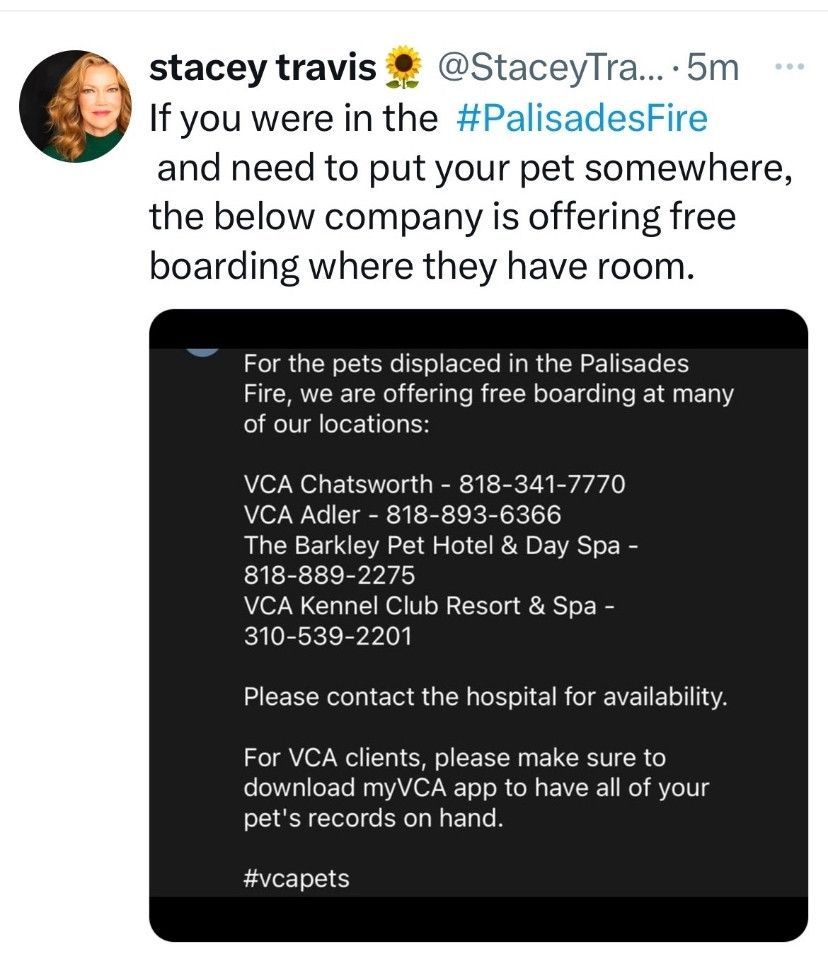 A post by stacey travis that says: "If you were in the #PalisadesFire and need to put your pet somewhere, the below company is offering free boarding where they have room." That is followed by an image with info that reads: "For the pets displaced in the Palisades Fire, we are offering free boarding at many of our locations:

VCA Chatsworth - 818-341-7770

VCA Adler - 818-893-6366

The Barkley Pet Hotel & Day Spa -
818-889-2275

VCA Kennel Club Resort & Spa -
310-539-2201

Please contact the hospital for availability.

For VCA clients, please make sure to download myVCA app to have all of your pet's records on hand."