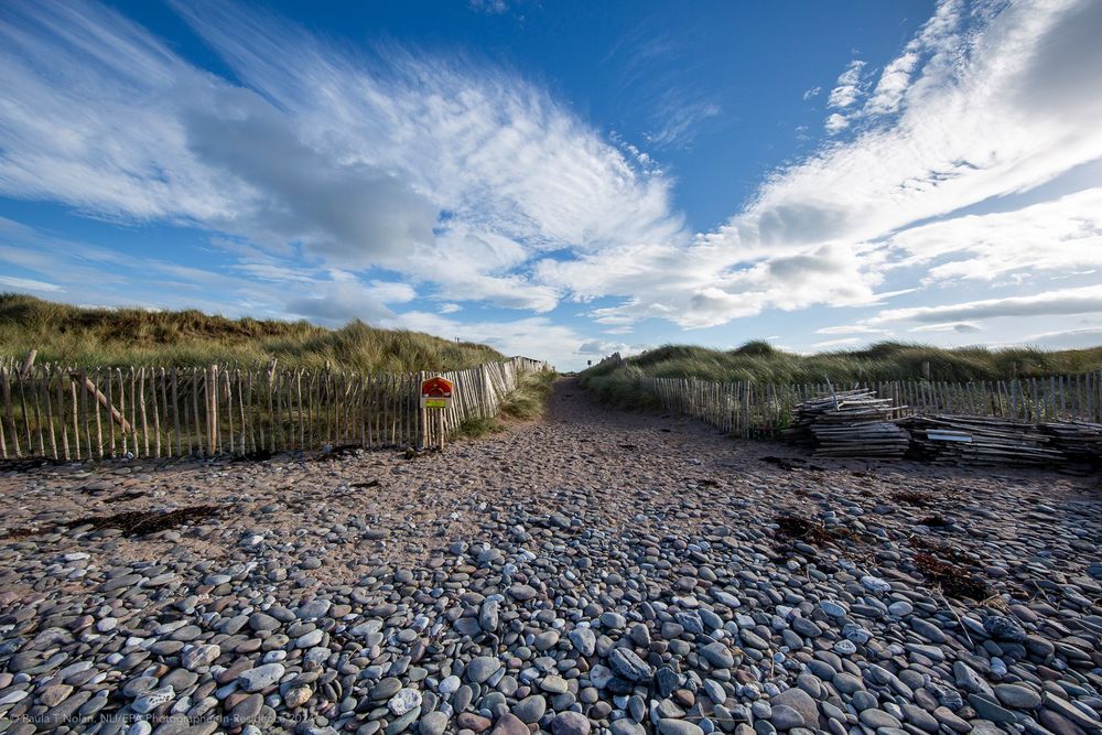 View from stoney beach of pathway to road, with chestnut wood fencing either side, and grassy dunes. The sky is blue with rippling white clouds that also are wispy from the wind. A pile of unused fencing is to the right, and a lifebuoy to the right. The stones are medium sized and some have a blue hue, perhaps from the blue sky above. 