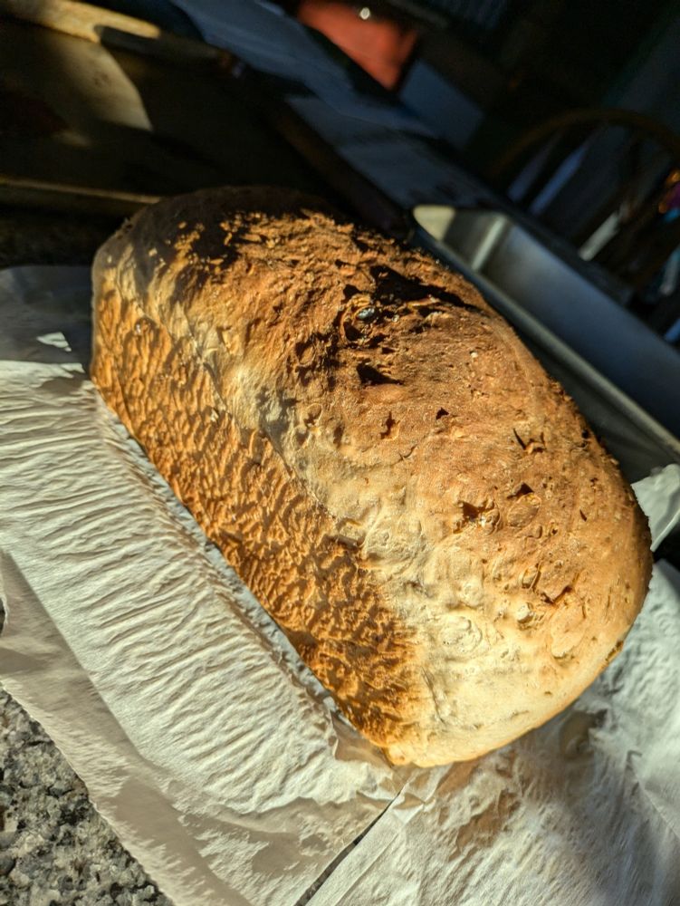 Freshly baked loaf of sandwich bread