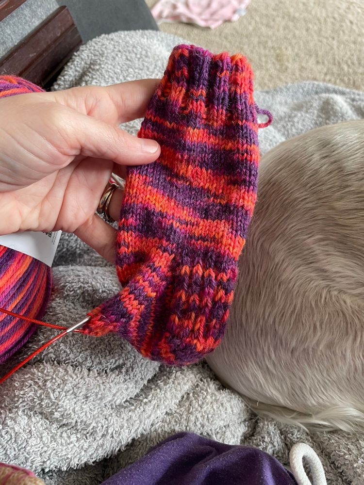 Purple, orange, and pink yarn has been knit into the top half of a sock, on circular knitting needles