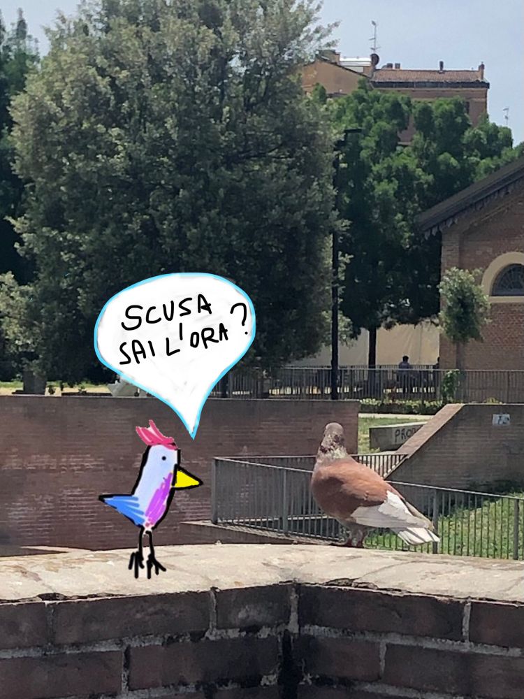 La foto di un piccione su un muretto che guarda verso lo sfondo con degli alberi e disegnato un uccellino che gli chiede “scusa sai l’ora?”