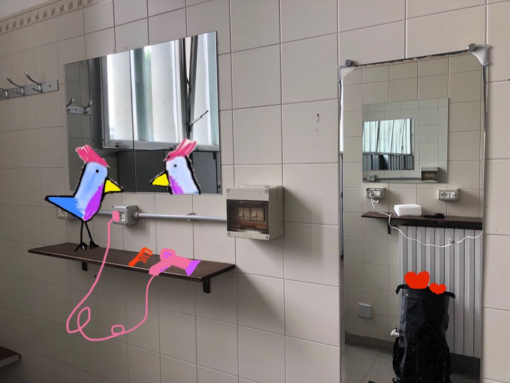 La foto di uno spogliatoio con armadietti e specchi e disegnato un uccellino un asciuga capelli e un pettine e dei cuoricini che escono da uno zaino