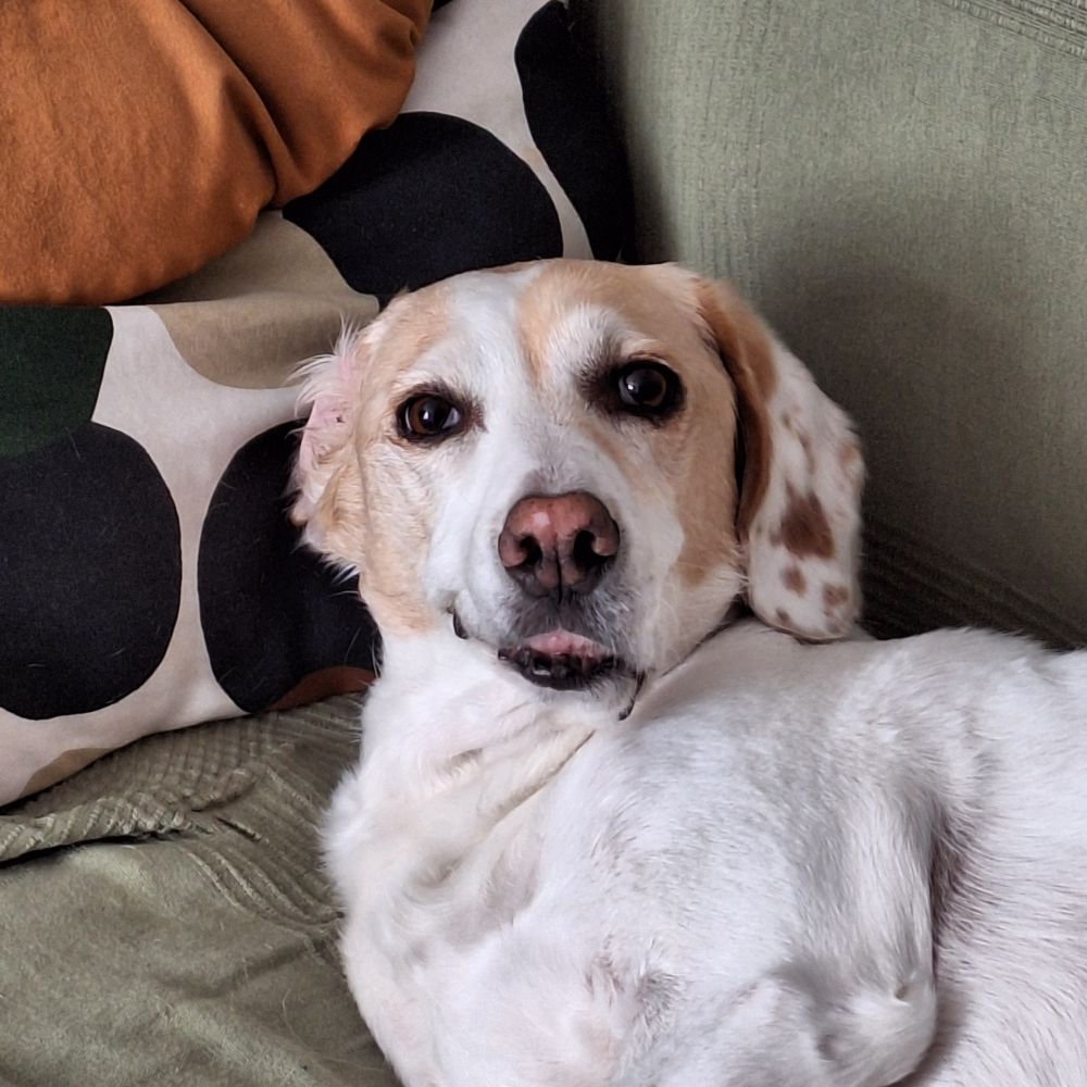 Mon dédé et sa tête de pimpin