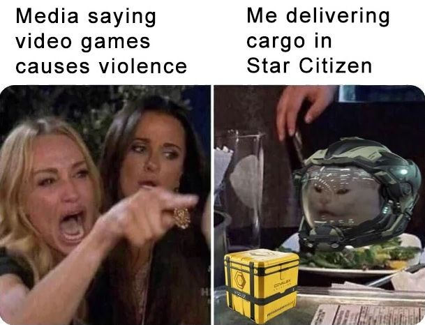 The "two girls yelling at a cat at the dinner table" meme. Except the first panel is titled: Media saying video games causes violence. The second panel is" me delivering cargo in Star Citizen.