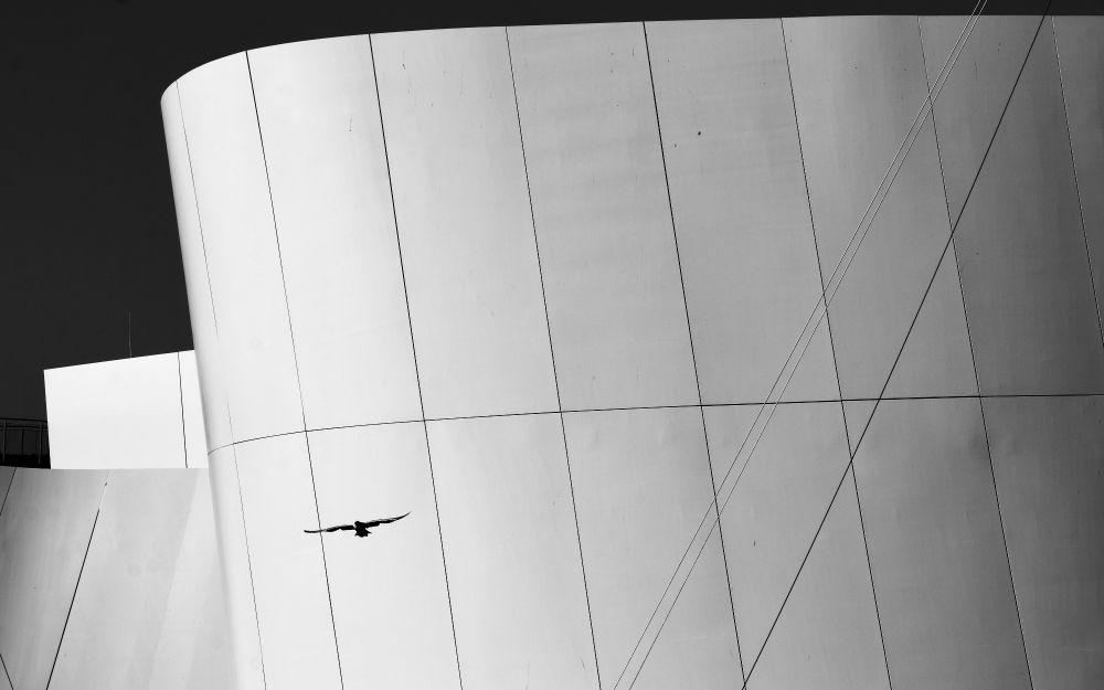 Eine Gebäudefassade, fensterlos. Die Fassade besteht aus weissen Platten.Die Übergänge der Platten gliedern als dünne, leicht schräg verlaufende schwarze Linien die Fassade horizontal und vertikal. Unten links ist, als schwarze Kontur, ein fliegender Vogel zu sehen.