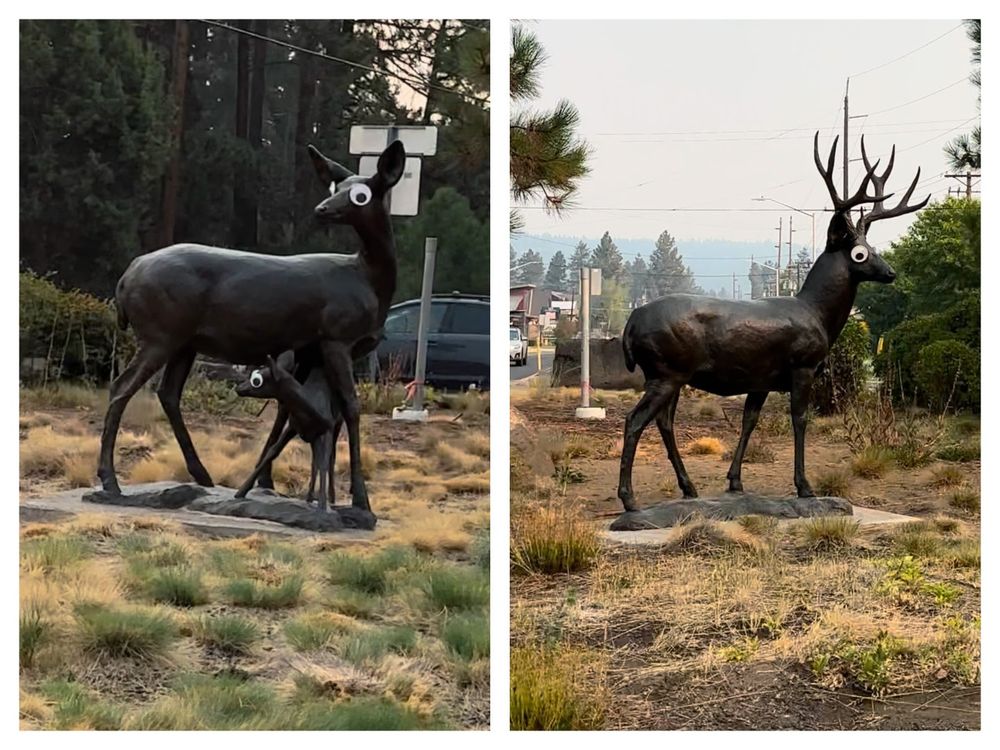 A statue of a doe and fawn with big googly eyes, and one of an antlered buck, also with big googly eyes.